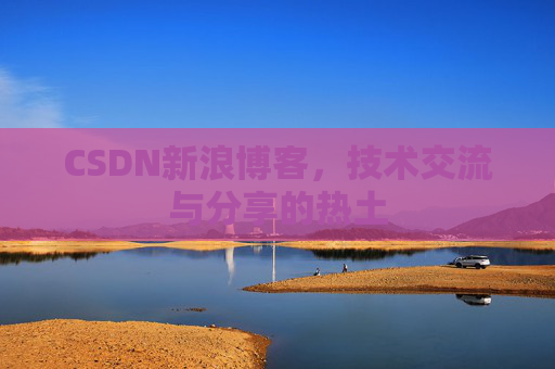 CSDN新浪博客，技术交流与分享的热土